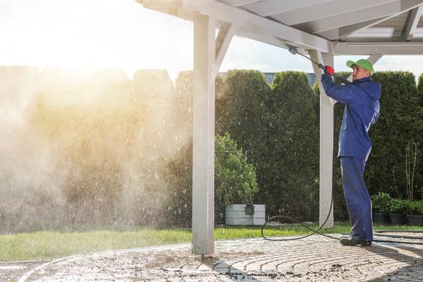 Professional Pressure Washing Services in Moulton, AL